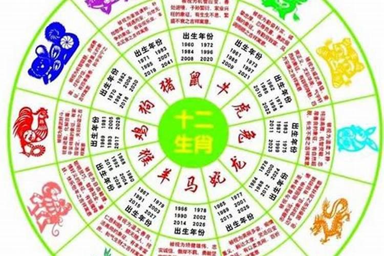 生肖鼠2025年运势 属鼠2025年运势及运程
