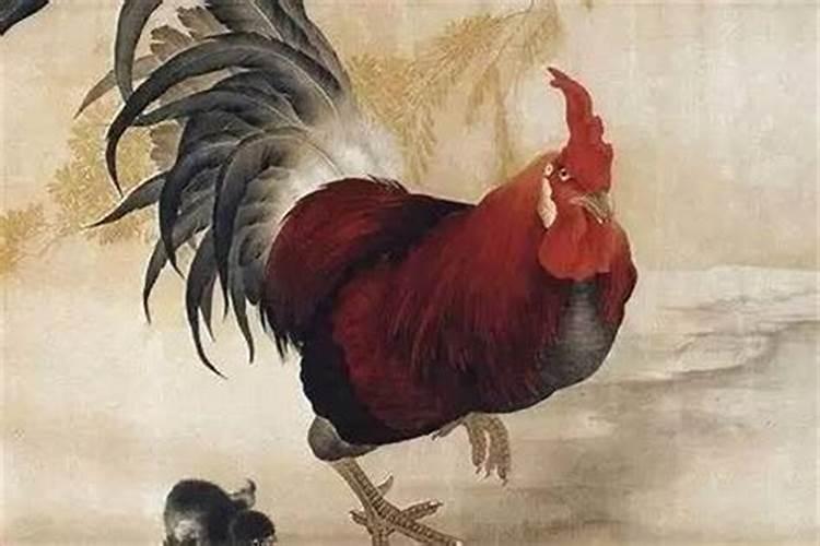 属鸡初七出生好不好 属鸡初七生日人的命运？
