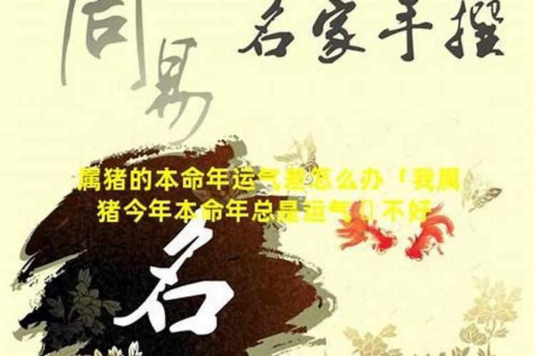 冬至祭祖意义是什么,冬至祭祖的由来是什么？