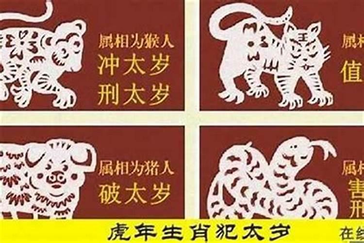 2025年为什么龙也犯太岁呢