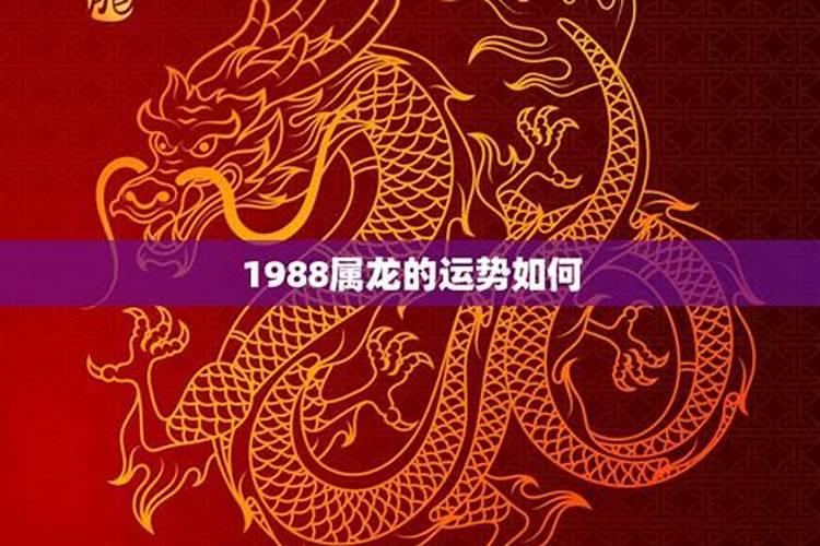 88年属龙2025年运势和财运怎么样