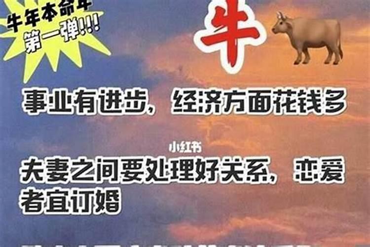 属相相害的依据是什么,什么属相相害