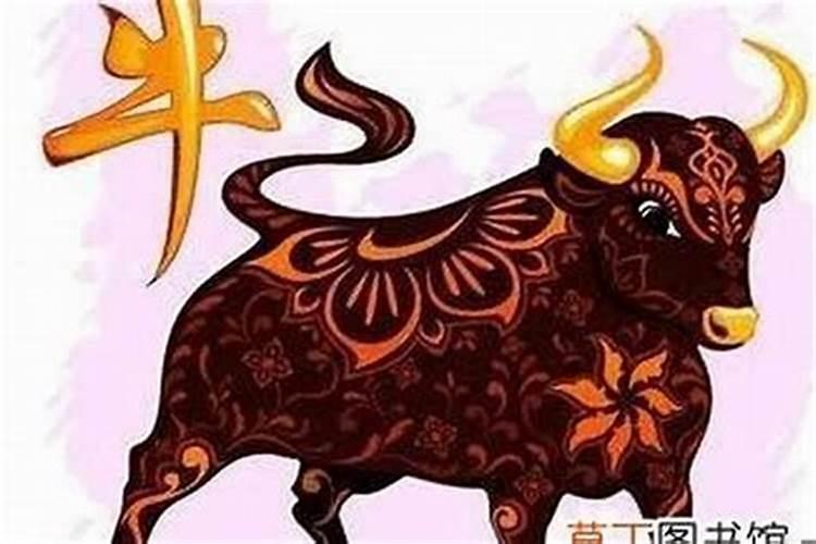 牛年的本命年是什么时候