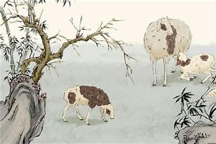 羊和鼠配吗婚姻八字配对 婚姻怎么样？