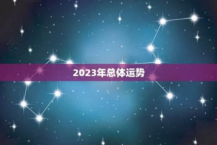 免费测算属猴的人今年运势乐观吗
