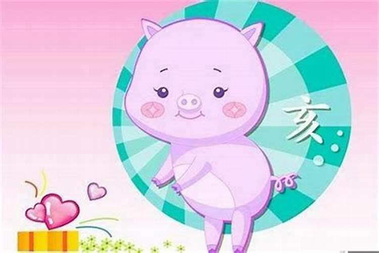 属猪和属鼠的合婚,属鼠的和属猪的结婚好不好