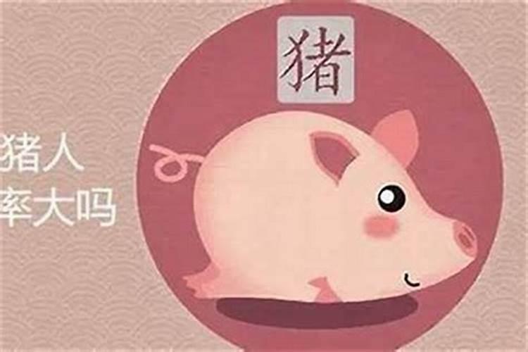 71年属猪男在2025年的全年运势