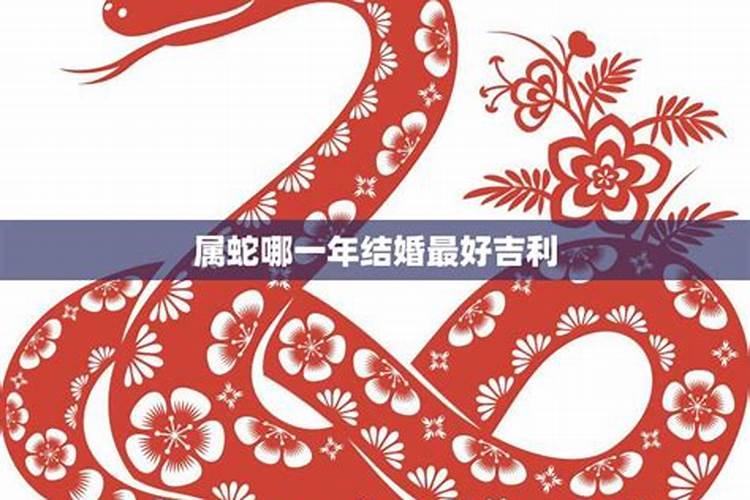 2025属蛇本命年可以领证吗 属蛇人适合在什么时候结婚