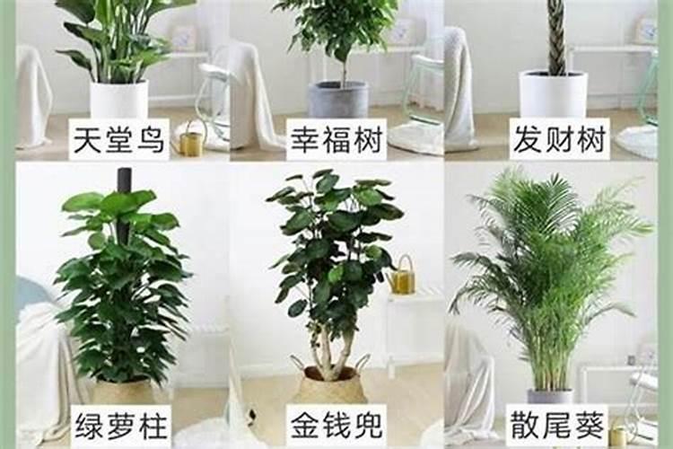 经常跟邻居吵架打架怎么才能化解 物件风水