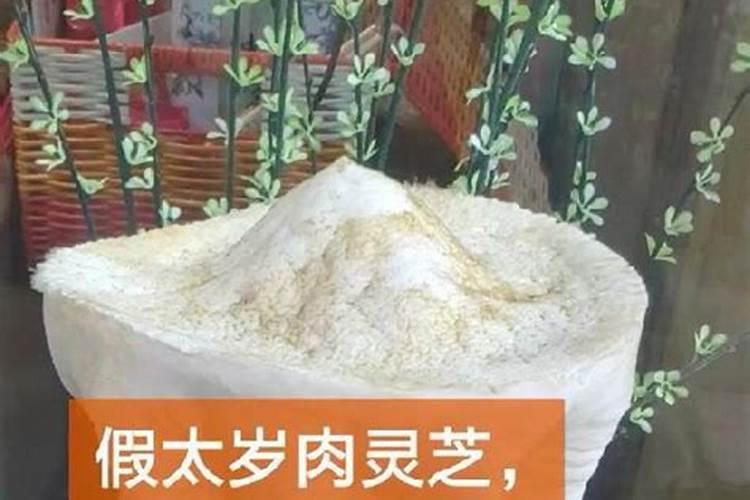 太岁怎么鉴定