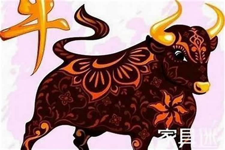 本命年反而运气好的人