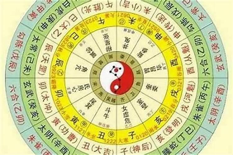 生肖猴1956年出生2025几岁了