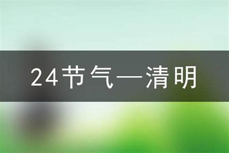 今年清明节气是哪天