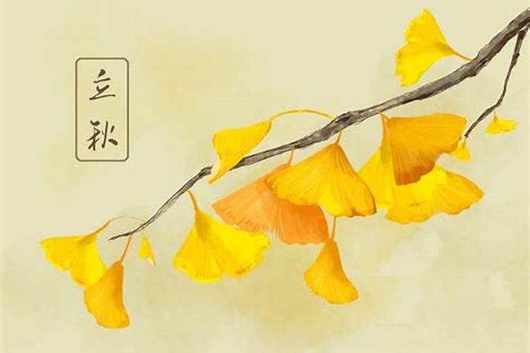 怎么才能知道自己的生辰八字