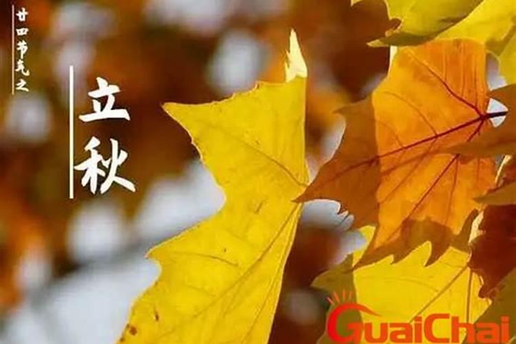 如何知道自己的生辰八字是什么？