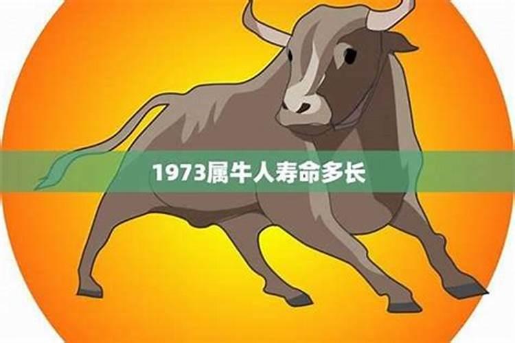 八字干支解读——辛丑:辛苦牛牛,天道难酬! 宝藏干支易蒙尘