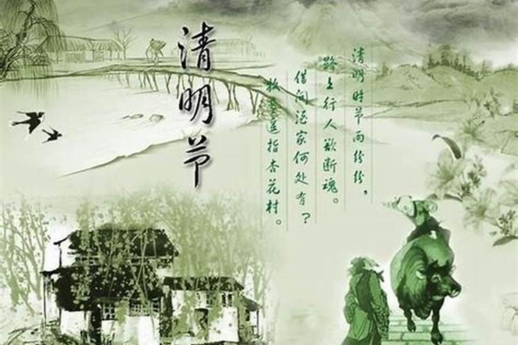 梦见很大的乌龟有哪些预示