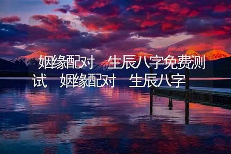 十二生肖姻缘配对