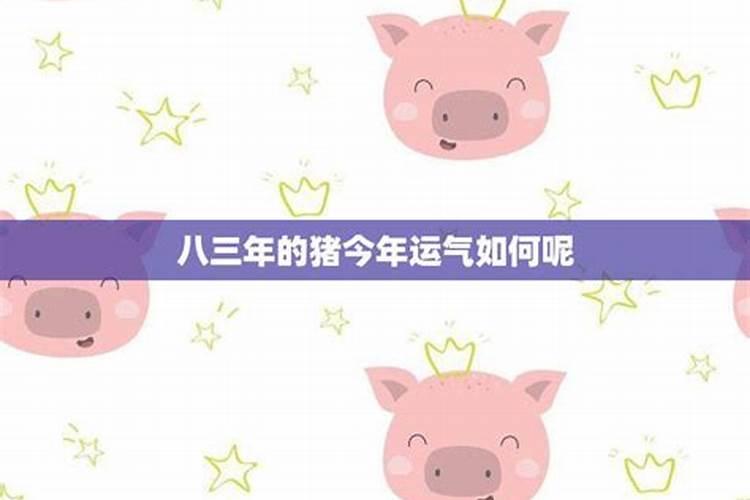 l971年属猪人的运势,一九八三年属猪的今年运势