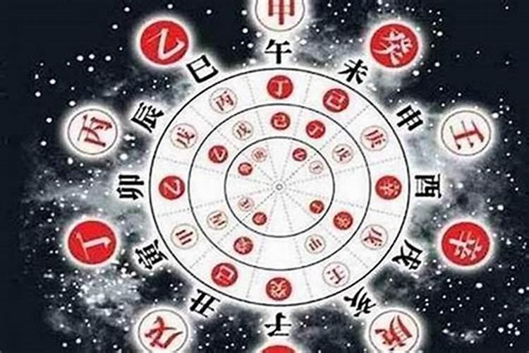 梦见猫抱着腿不放的预兆