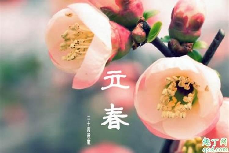 今年立春是几月几号几点2024