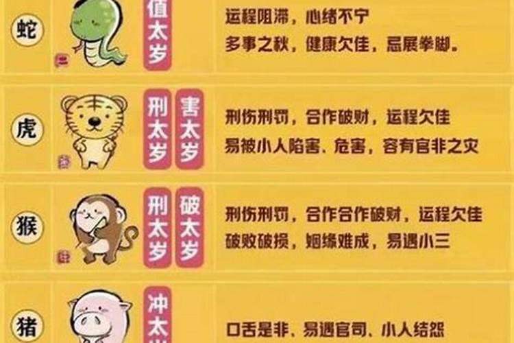 普贤菩萨的坐骑叫什么