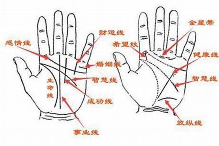 婚姻失败的13种婚姻线