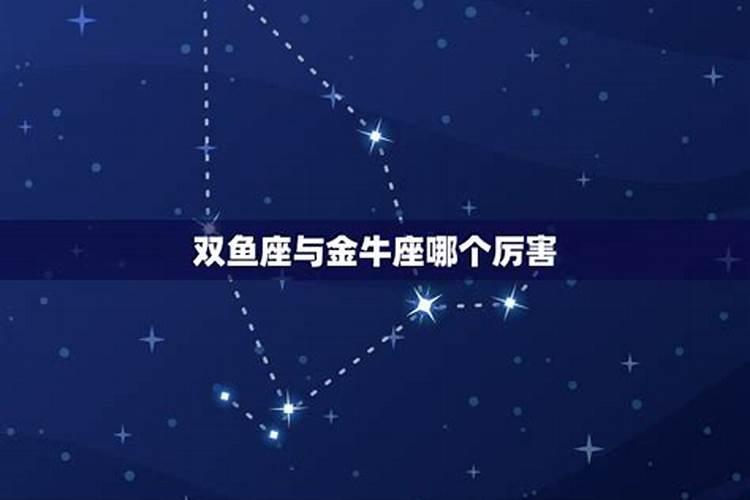 属牛的金牛座男和属猪的双鱼座女孩