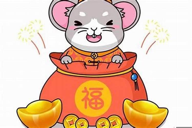 属鼠的人2024年的运势及运程