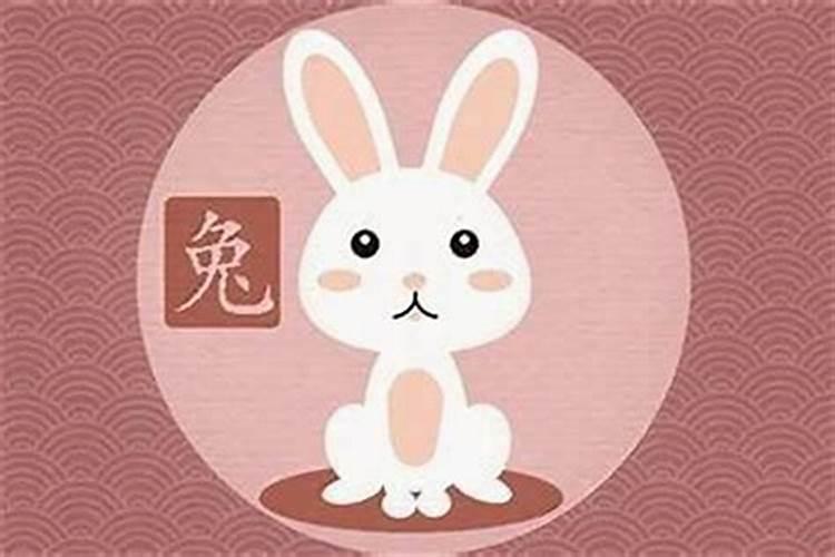 属兔配什么聚财最旺风水