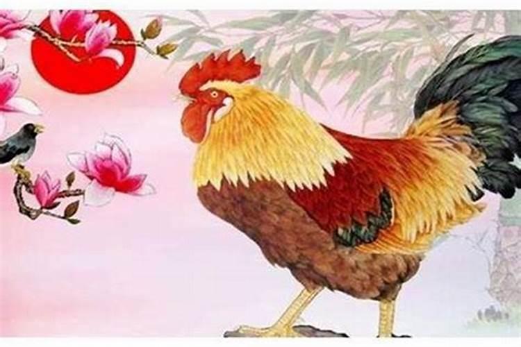 属鸡遇鼠年运势如何？