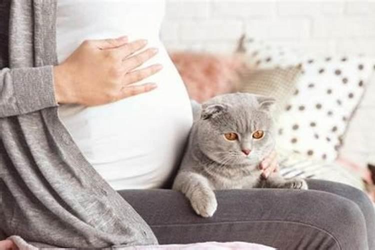一鸡二鸭猫三狗四猪五羊六人七马八是什么意思？