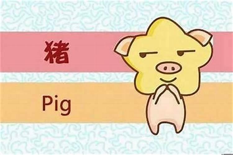 鼠年本命年 属鼠运气如何