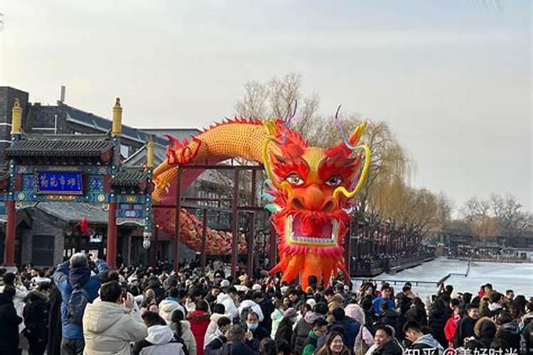 2025年十二生肖每月运势详解