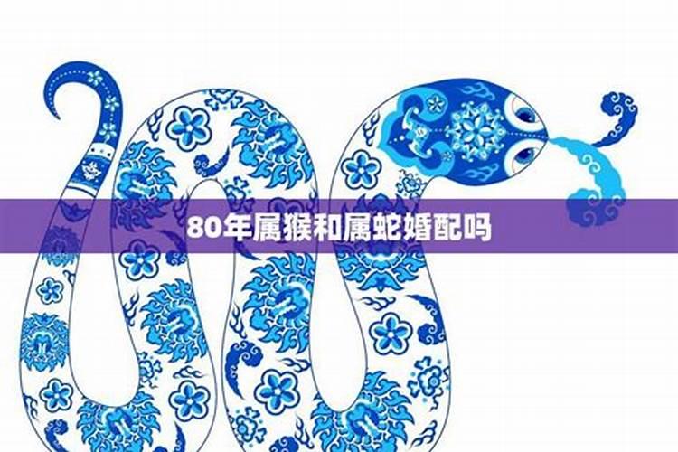 89属蛇的和什么属相最配,蛇猴配不配呢？
