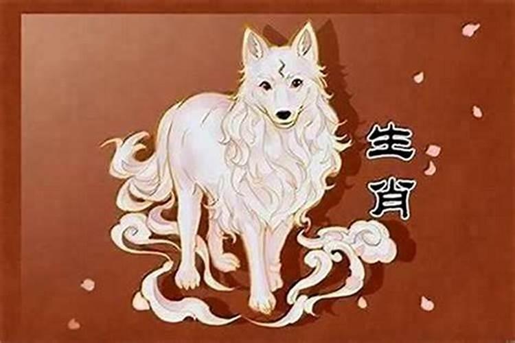 属龙和属兔的婚姻相配吗 婚配禁忌都是谁？