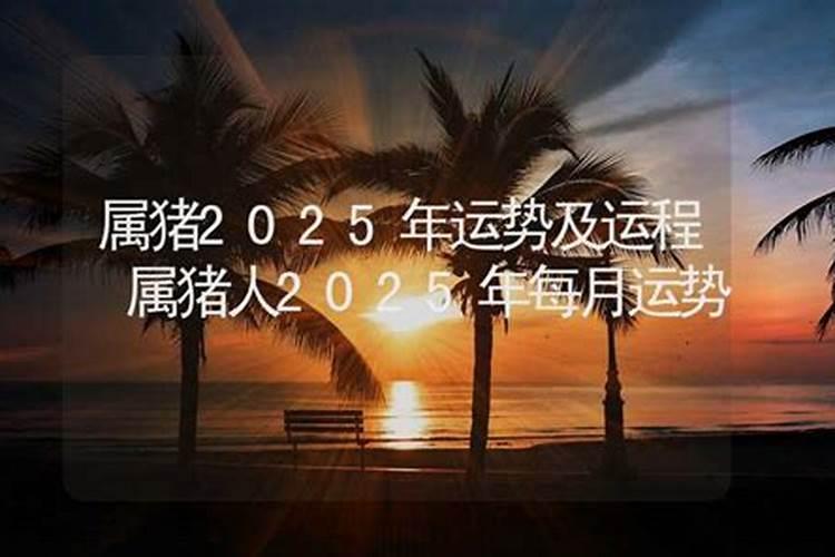 1985属牛的在2025年运气