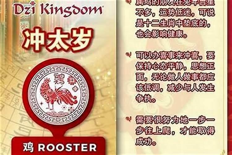 2025虎犯什么太岁