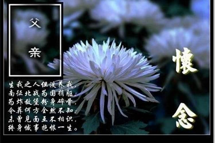 愿亲人在天堂安好唯美句子有哪些