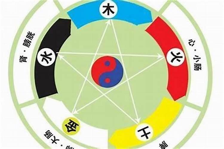 生肖属相不合是不是不适合结婚,属相不合就不能结婚生活在一起吗
