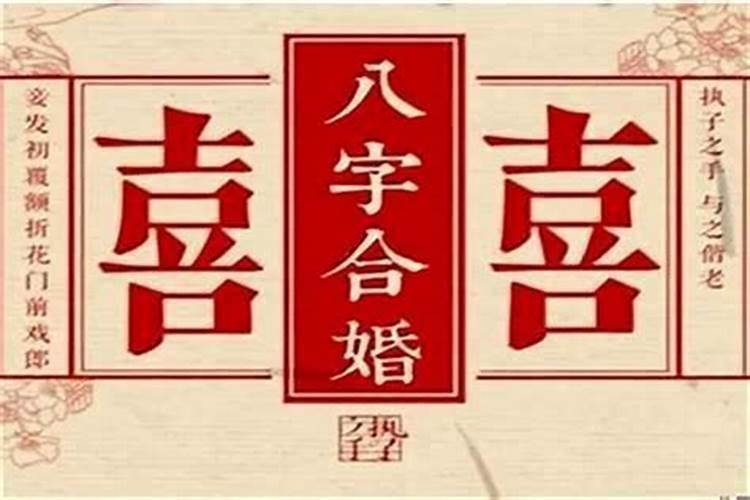 秦岚结婚没