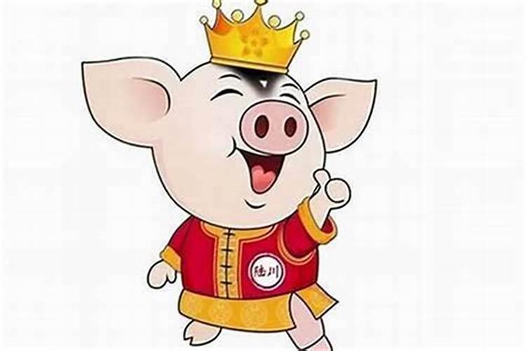 属猪的男人女人和什么属相最配最合适呢 猪属相是跟什么属相最配最好