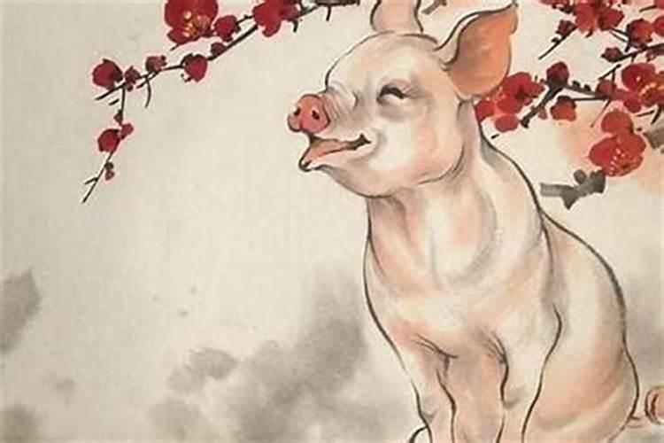 属猪和哪些生肖合,属猪的人和什么属相相合