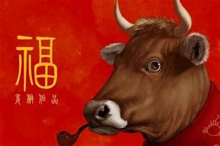 打胎的婴儿去哪了