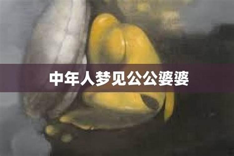 梦见公公是什么意思