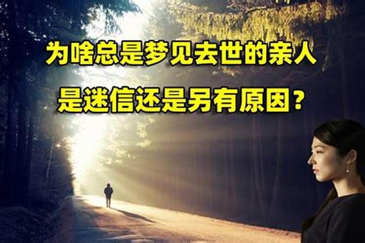 2025虎财运怎么样