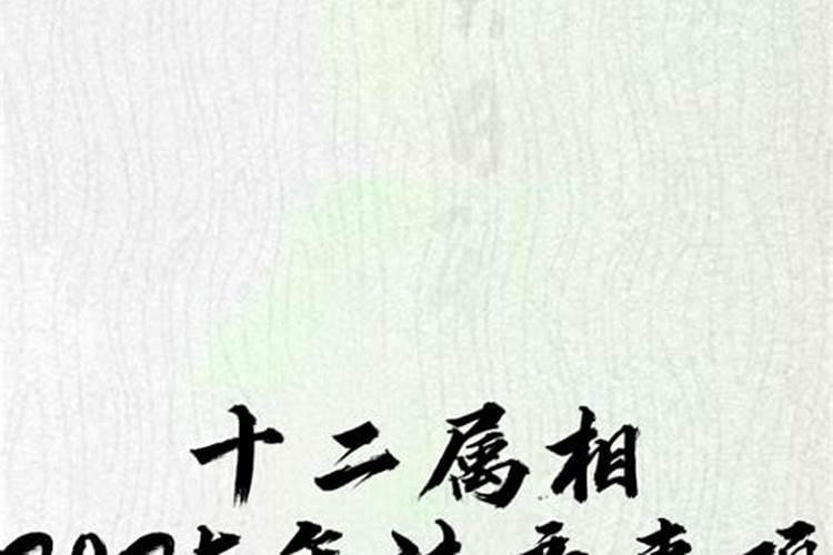 中元节上坟念什么咒语 中元节上坟念什么咒语合适