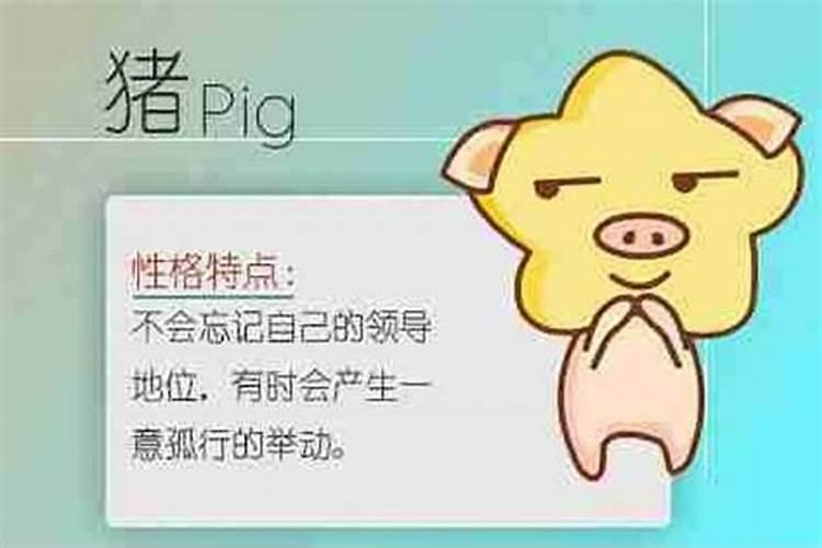 周公解梦梦见买冬瓜的寓意