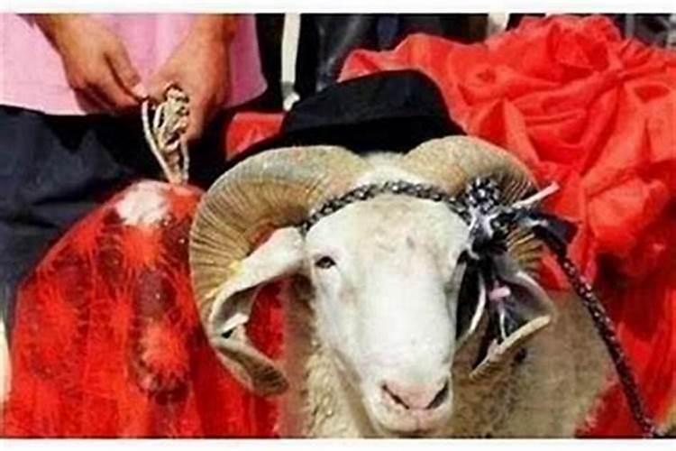婚姻童子和童子的差别 童子命男人有多可怕