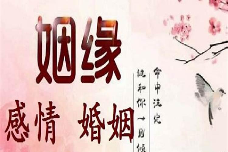 2025年1989属蛇人命运